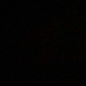 Meet your Posher, Ella